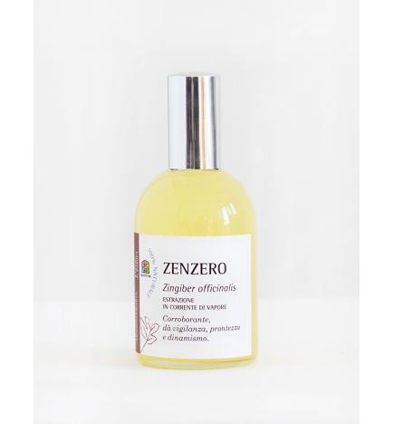 Spray Zenzero 115 ml - Olfattiva